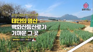 (매매보류)가격down.30만원↘26만원.태안토지매물 공기좋고조용한토지! 태안의명산백화산..