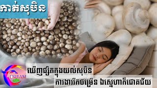 សុបិនឃើញផ្សិត ការងាររីកចម្រើន ឯស្នេហាក៏ជោគជ័យ-Dreaming of mushrooms, work thrives and love succeeds