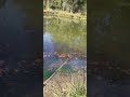 Introductory Fishing Video (Spot  #2)  (Caught 2 Fish)