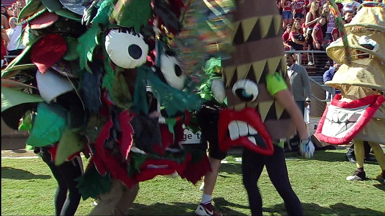 Stanford Tree Football