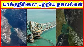 பாக்குநீரினை| Palk strait |Tamil Geography News