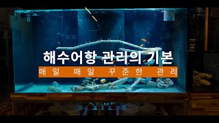 해수어 사육시 꼭 지켜야 하는 관리 방법 part 2