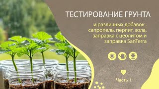 Эксперимент с грунтом из магазина Светофор. Часть 1.