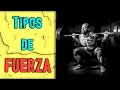 Tipos de Fuerza - Clasificación y Descripción