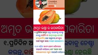 ଅମୃତ ଭଣ୍ଡା ର ଉପକାରିତା#shortvideo #odia#motivation#gk #viralvideo#viralshort#videos #video#viralreels