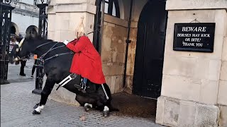 Kings guard horse slips falls guard stays mounted #horseguardsparade