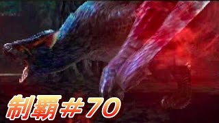 #70【MHX実況】『獰猛化ナルガクルガ』 【全クエ制覇を目指して】【モンハンクロス】