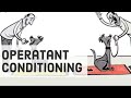 Skinner's Operant Conditioning: Rewards & Punishments