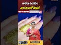 తాబేలు ఉంగరం ఎలా ధరించాలో తెలుసా tortoise ring do you know how to wear it v5 bhakti tv