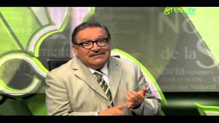HUEVO; PORQUÉ SU CONSUMO AUMENTA COLESTEROL PGM 82 B2