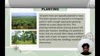 Agr 182 || Agronomic practices of oil palm