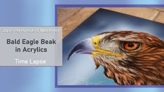 Bald Eagle Beak in Acrylics | Sneak Peak | Time Lapse