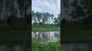 Chỗ này câu cá được ká #lurefishing #lure #fishing #handmadelure #shortvideo #funny