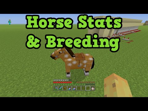 Minecraft Xbox One + PS4 - Fastest Horse Guide - Breed The Best Horse Minecraft Xbox One + PS4 - Fastest Horse Guide - Breed The Best Horse