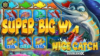 x1575 🔥 My MAX WIN In The New Slot 🔥 Nice Catch DoubleMax 🔥 Online Slot EPIC Big WIN - Yggdrasil