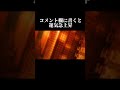 運命の数字をコメントすると幸運になる。チャンネル登録、高評価で運気急上昇 金運 金運上昇 幸運 仕事運 仕事運急上昇 スピリチュアル 健康 幸せ shorts