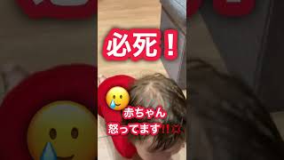 【4才0才】大好きなパパが帰って来た！抱っこ争奪戦！#shorts