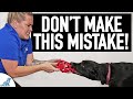 The BIG Mistake People Make When Teaching A Dog To Drop Something