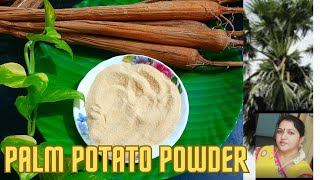 சத்தான பனங்கிழங்கு பொடி #making healthy Palmyra tuber flour #