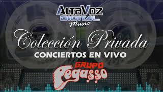 PEGASSO Concierto Completo 1988/ #AltavozDigitalMusic