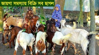 জায়গায় সমস্যায় বিক্রি করে দিবেন খামারের  সব ছাগল goat farm