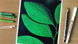 Oil Pastel Drawing / 3d Water Drops On Leaves - Drawing leaf with water drops