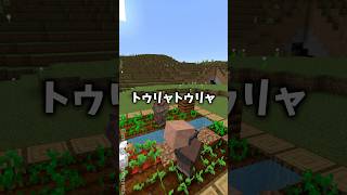 村人の一週間😂😂😂 #まいくら #マイクラ #マインクラフト #minecraft