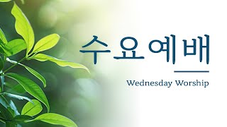 25년2월12일수요예배 윤창률담임목사