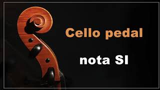 Cello pedal nota SI