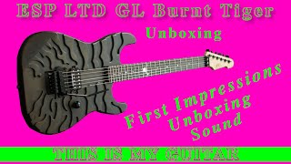 This is my guitar - ESP LTD George Lynch GL Burnt Tiger Unbox and first impression.Gift from my wife