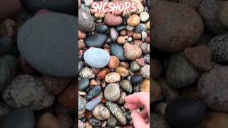 snake stone 😱 omg #viralvideo #sncshops #10million #grow #stone #crystalstone #pathar #trending #vir