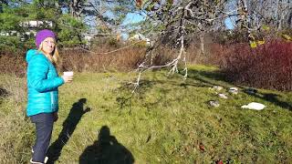 Duck Herding Tutorial