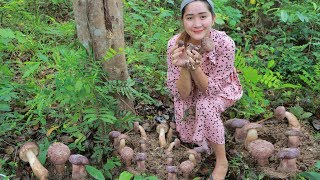 Yummy Wild Mushroom Cooking Chicken Egg - Find Wild Mushroom And Cook - Cooking With Sros