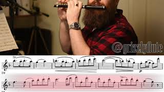 GRIZZLYFLUTE // Tambourin by François-Joseph Gossec, performed on Piccolo!