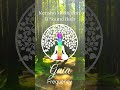 Gaia Frequency Meditation & Sound Bath. Release, Connect, Transform, Manifest, Harmony, Kenshō, Zen