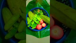 ସବୁଜ ପନିପରିବା🍅🥒#trending #shortsvideo #ytshorts #lizylifehack #greenvegetable