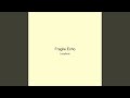 Fragile Echo