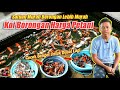 🔴 Review Ikan Koi Murah | Koi Harga Petani | Koi Borongan Cocok Untuk Dijual Lagi di AR Koi Farm