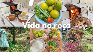 Simplicidade que encanta colhendo e preparando almoço no fogão a lenha /Varri quintal e fomos cidade