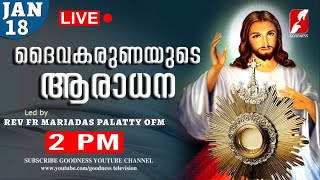 JAN 18|ദൈവകരുണയുടെ ആരാധന|Karuna kontha|FR MARIADAS PALATTY OFM|DIVINE ADORATION|Aradhana|GOODNESS TV