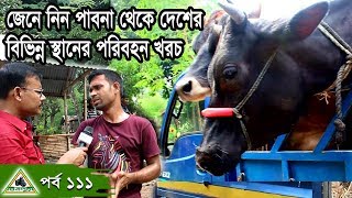 Krishi/কৃষি চিত্র-111 জেনে নিন পাবনা গরুর খামার থেকে দেশের বিভিন্ন এলাকার গাড়ী ভাড়া ।