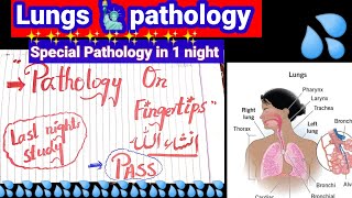 lungs 🫁 pathology. ❣️ ❣️ ❣️ Pathology on fingertips ✌️ #patho #Lungs #COPD #RESPIRATORY #SYSTEM
