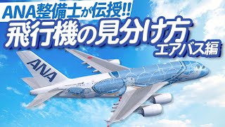 【ANA整備士】飛行機の見分けかた　~エアバス編~ 【ひこトモ】