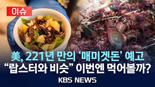[이슈]  美, 221년 만의 '매미겟돈' 예고…"랍스터와 비슷" 이번엔 먹어볼까?/2024년 5월 9일(목)/KBS