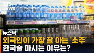 가장 잘 알려진 한국술은 '소주'…한국술 마시는 이유는? / SBS / 뉴스딱