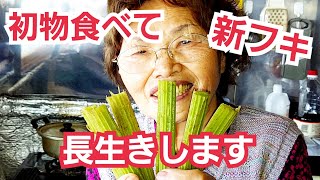 #1000【80代の元気チャンネル】今年も、フキが食べれます🥰