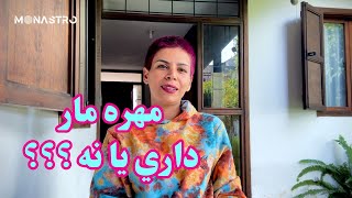 از نظر آسترولوژی مهره مار داری یا نه ؟ من میگم داری :)