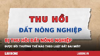 Bị thu hồi đất nông nghiệp được bồi thường thế nào theo Luật Đất đai mới? | Báo Lao Động