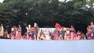 ＮＴＴドコモ高知支店 in スーパーよさこい２０１１