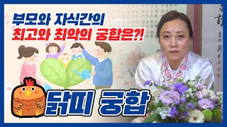 ★부모와 자식간의 띠별궁합★닭띠부모는 무슨띠 자식을 낳으면 호강할까?